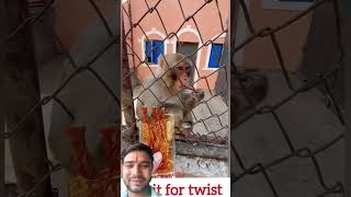 Wait For The Monkeys Twist At The End🐒 #monkeyshorts #funnymonkey #monkeylove #bandar #wildlife