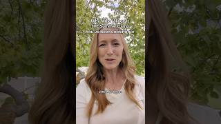 THE SUMMER CAMP YOUVE BEEN LOOKING FOR #summercamp2025 #mojovillage