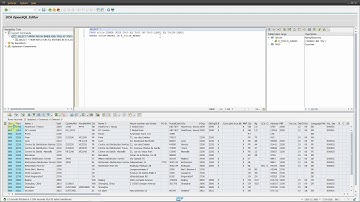 SQL editor for SAP: the missing piece from the ABAP development workbench