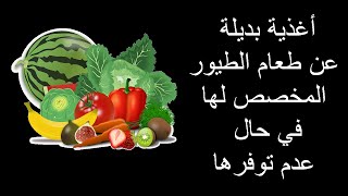 طعام الطيور المخصص غير متوفر لأي سبب من الاسباب، ماذا تفعل؟