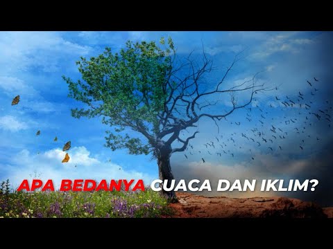 Video: Apakah iklim dan cuaca sama?