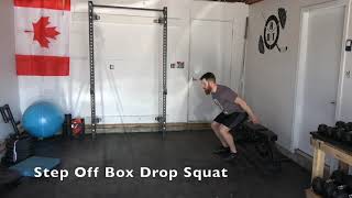 Step Off Box Drop Squat