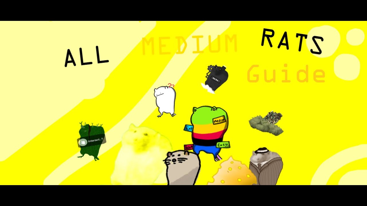 How to find ALL Medium Rats | Find the Rats - YouTube