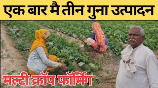 एक साथ तीन फसल की खेती कैसे करें। How to Multi Crop Farming #multicrop #multilayerfarming 