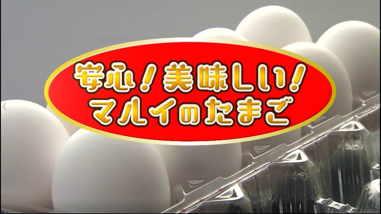 マルイ農協グループ事業案内　たまご篇