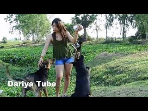 Dariya Training Her Czechoslovakian Vlcak Dogs Jump and Sit Down