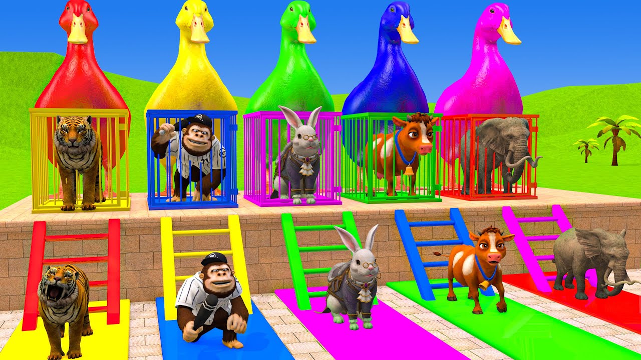 Long Slide Game With Cow Elephant Gorilla Hippopotamus Tiger 3d Animal Game Funny 3d Animals