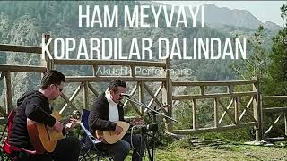 Video thumbnail of "Ham meyvayı kopardılar dalından - Ayhan Özbek - Akustik performans"