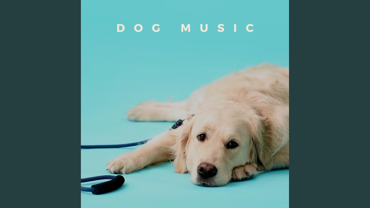 Music For Dogs YouTube