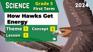 How Hawks Get Energy | Grade 5 | Unit 1 - Concept 2 - Lesson 1 | Science