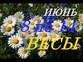 ВЕСЫ ТАРО ПРОГНОЗ на НЕДЕЛЮ с 8 по 14 ИЮНЯ 2020г ВЕСЫ ТАРО ПРОГНОЗ на НЕДЕЛЮ с 8 по 14 ИЮНЯ 2020г