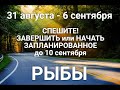 РЫБЫ♓ Таро-прогноз 31 августа-6 сентября. Гороскоп Рыбы/HoroscopePisces September. Ирина Захарченко.