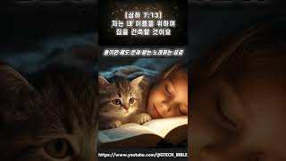 노래로 듣는 #사무엘하 7장 10 - 17 : 하나님의 말씀을 노래하는 노래하는성경 #bible  #ccm #1samuel
