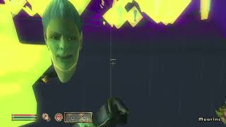 Day 1508 - Sending the Adoring Fan to Oblivion Daily Until Skyblivion is Released