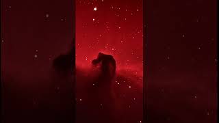 Horsehead Nebula live stacked through sharpcap pro. Captured with Meade LX200GPS 10” w/ ASI585MC Pro