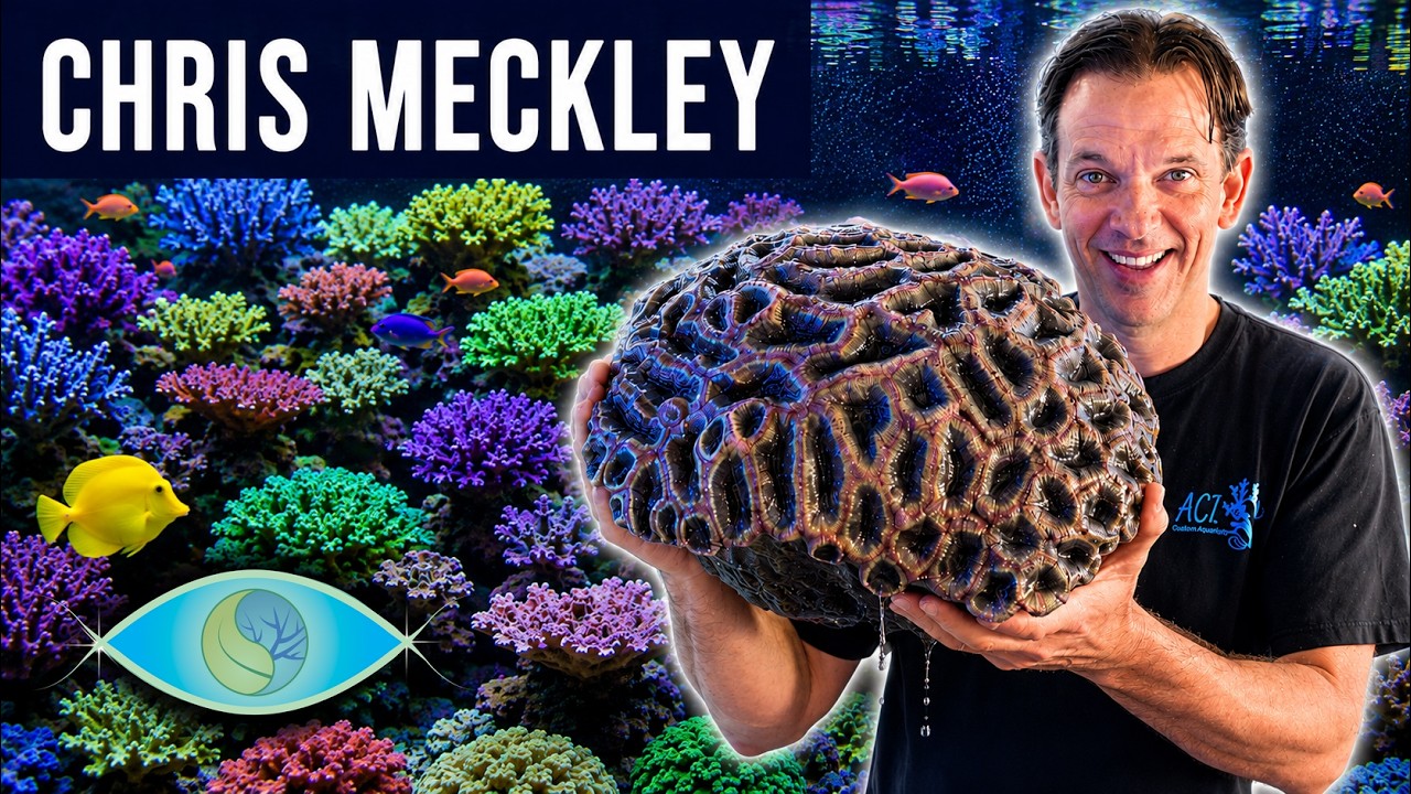 Don't Make These Reef Keeping Mistakes - Chris Meckley Reef Tank