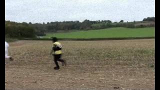 Pest Control In The 1970S - Wasps