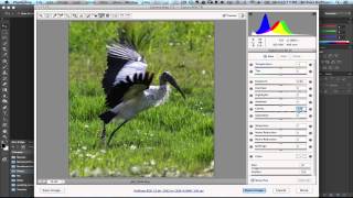Photoshop CS6 Adjustment Brush Tricks screenshot 2