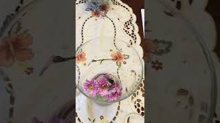 Making A Flower Pot 1