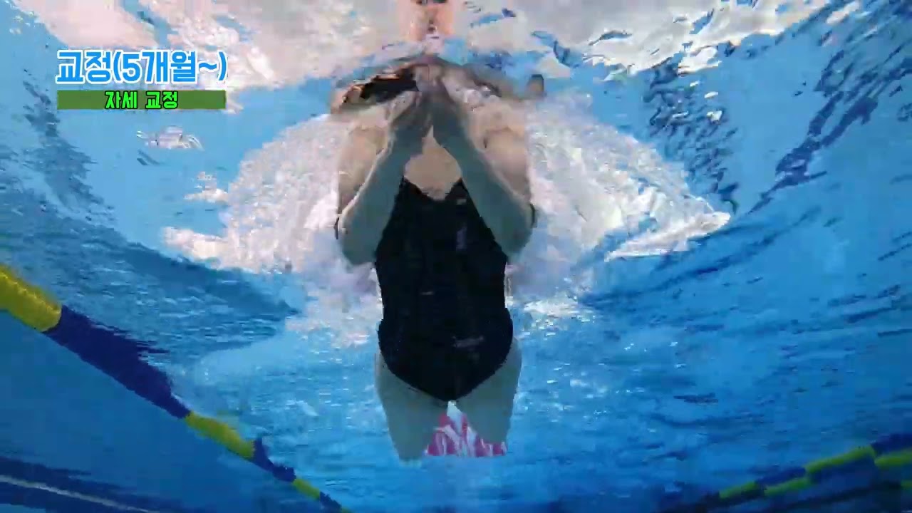 [청주시설공단] 수영 강습반별 강습 과정(2편)