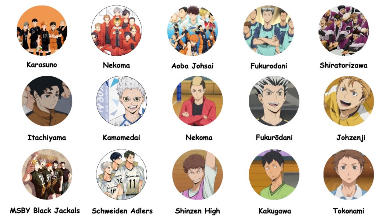 Every Haikyu Team Explained in 12 Minutes