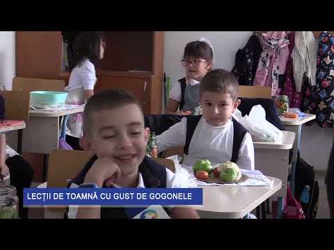 Lectii de toamnă cu gust de gogonele