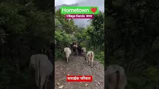 #hometown#Kanda village#सयाईकपरिवार#❣️💓❤❤️💖 God keep blessing 🙏🙏🙏💞