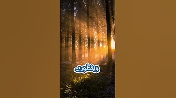 سورة التوبة و؛ كا.نك تسمعها لأ..و.ل مر.ة 💜💟..🌺🌷؛،❤️🌷..💖بصوت الشيخ حمزة مد بوح 🌻🌼؛،💮،💝؛؛🌸؛؛🏵️.💕