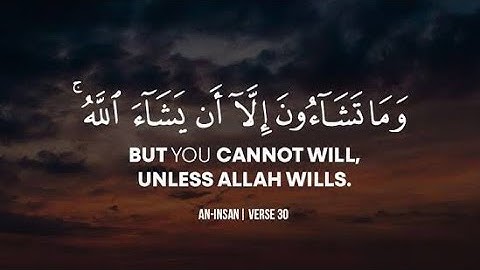 Surah Al Insan - Emotional - سورة الإنسان · Omar Hisham Al Arabi