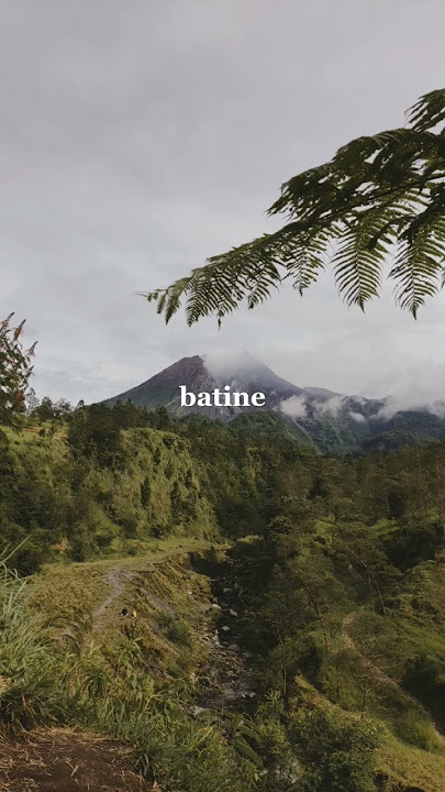 STORY WA 30 DETIK || LIRIK LAGU TRESNO LIYANE - NORTHSLE #storywa30detik #storywa #cidro