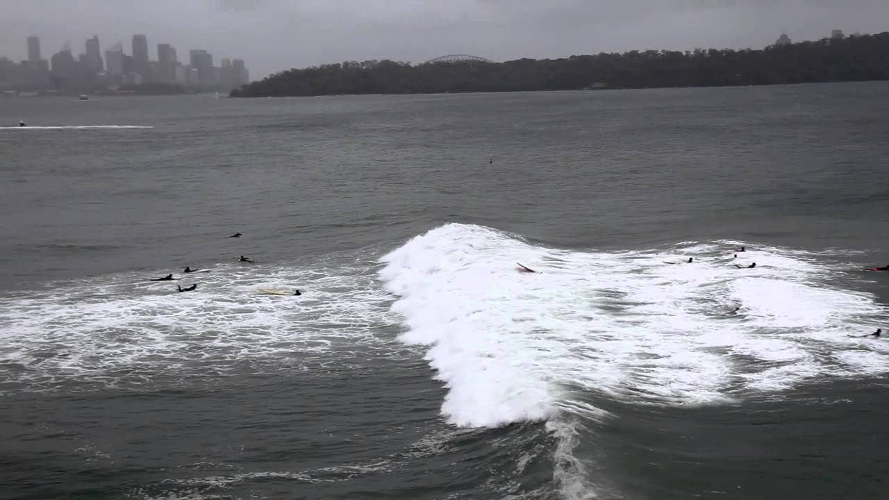 Sydney Harbour Surfing YouTube