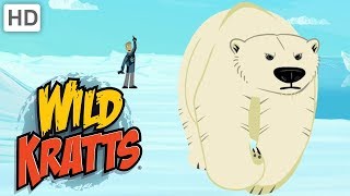 Wild Kratts  Polar Bear & Walrus Rescue ❄ Happy Holidays! ❄ Kids Videos