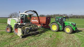 LES PREMIERS ENSILAGES !! Février 2023 ! Charente Maritime (17)