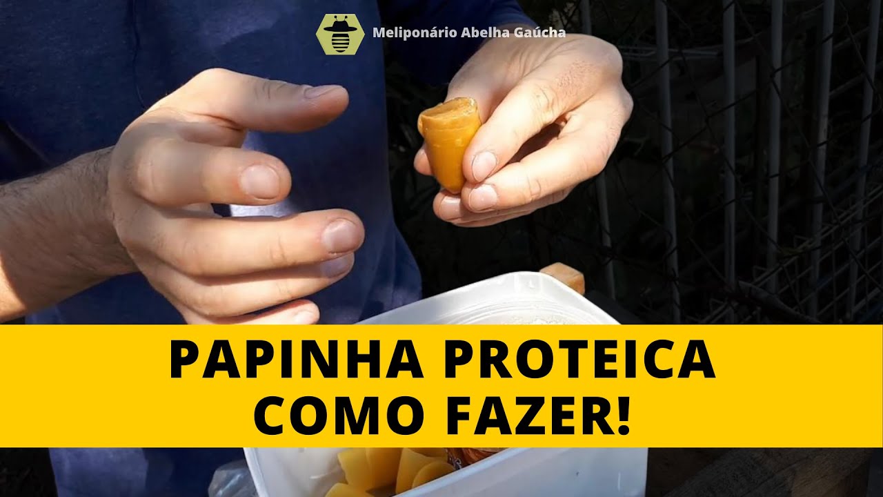Alimentação Proteica para as Abelhas Nativas: COMO FAZER!