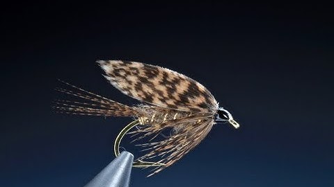 Fly Tying a March Brown wet fly with Barry Ord Clarke