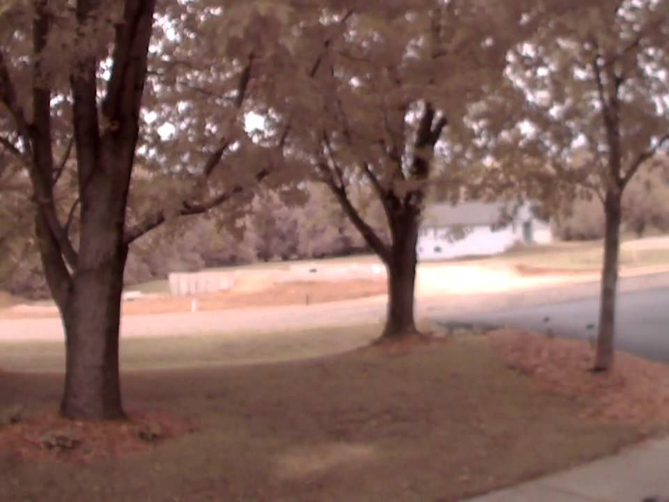 nosy people of Lake Summerset 1