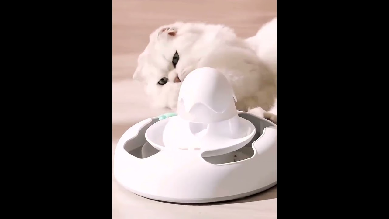 Pet Cat Feeding Plate Game Bowl Puzzle Interactive Toy Pet Supplies for Relieve Boredom