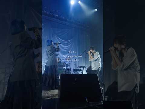 #ENDROLL [Alexandros] ver. - live at 260826 Zepp Haneda #Alexandros #SennaRin #閃光のハサウェイ #キルケーの魔女