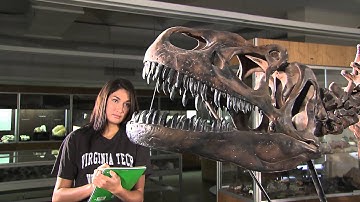 Virginia Tech: Admissions Open House