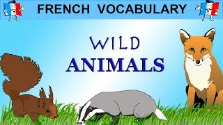 French Vocabulary - WILD ANIMALS - YouTube