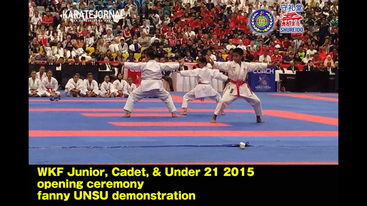 Funny UNSU demonstration WKF Junior, Cadet, & Under 21 2015 opening ceremony