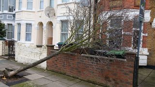 Tempête Eleanor : le prix des assurances sur le point de grimper