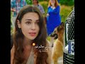 فيها ايه لو نرجع تاني وبدال ما تكون وحداني تسندني معك ونقول