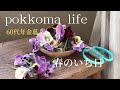SUB【vlog】 ||pokkoma life|| 年金暮らし/春の花ビオラ/くまマドレーヌ/雛じまい