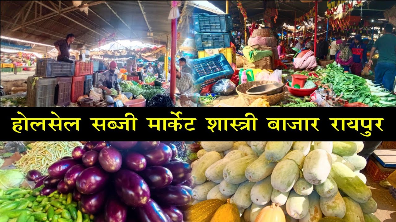 होलसेल सब्जी मार्केट शास्त्री बाजार रायपुर ।। Holesale sabji market shashtri bazar raipur