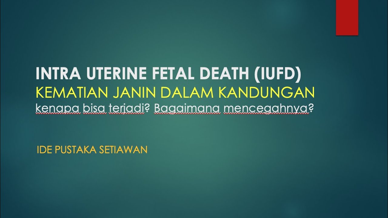 IUFD - INTRA UTERINE FETAL DEATH - Kematian Janin Dalam Kandungan ...