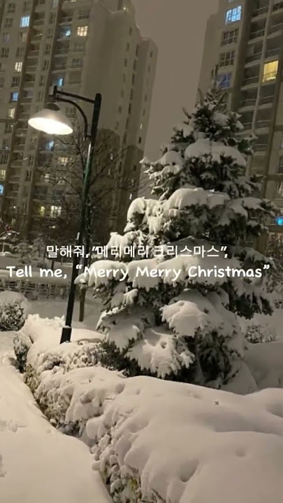 These lyrics rlly explain 2023 Christmas 💔❤️‍🩹 #firstsnow #exo