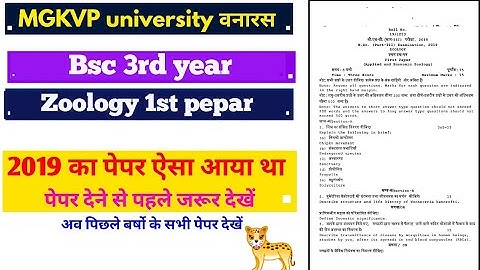 BSc 3rd year Zoology 1st paper 2019 || MGKVP University vanaras || paper hacker
