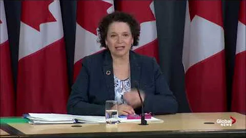 Stangl's Climate Change Solution - CBC NEWS