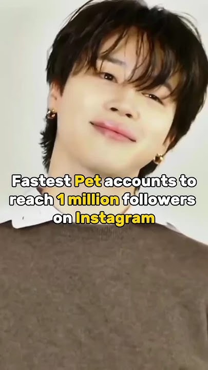 fastest-pet-accounts-to-reach-1-million-followers-on-instagram-bts